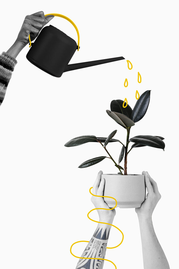 houseplant gardening hobby illustration remix